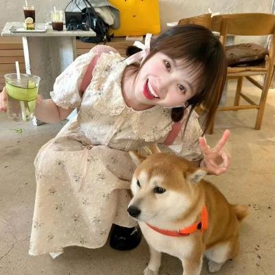 玉米上的麻雀